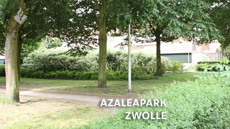 asaleapark zedendelinquenten