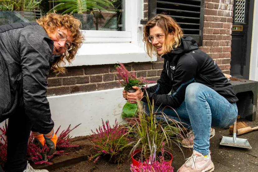 klimplanten overijssel