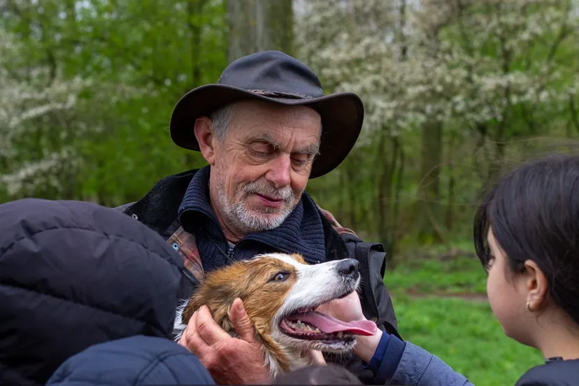 schaapherder tjitse terpstra