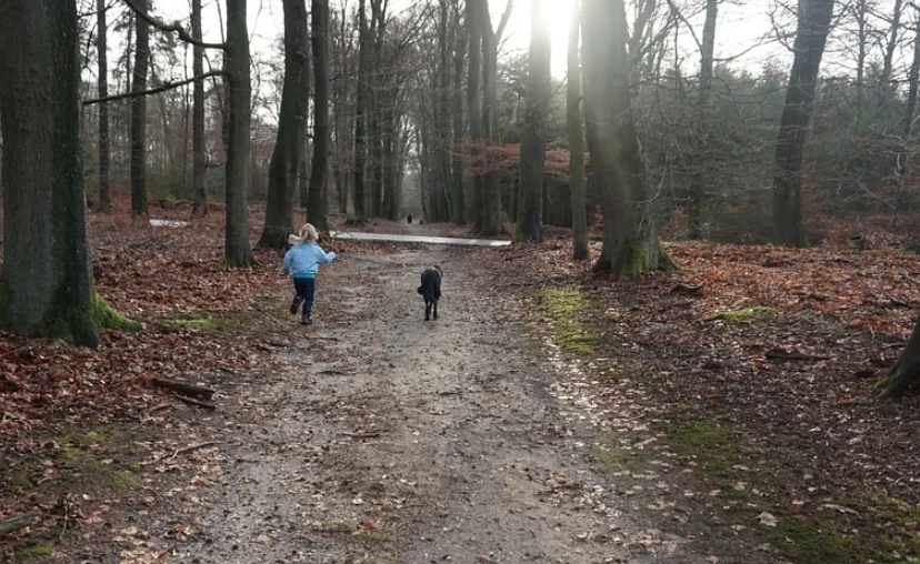 schermafbeelding 2019 03 09 om 085201