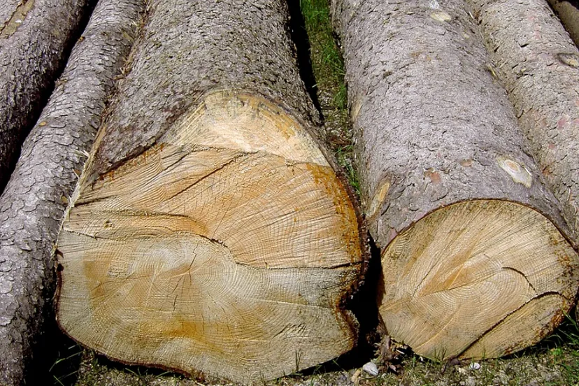 schermafbeelding 2019 10 02 om 081458