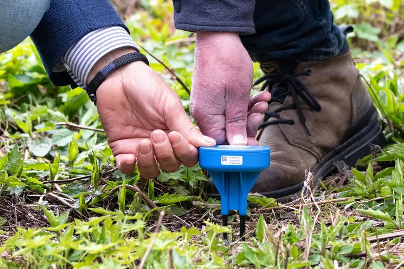 schermafbeelding 2023 11 15 084338