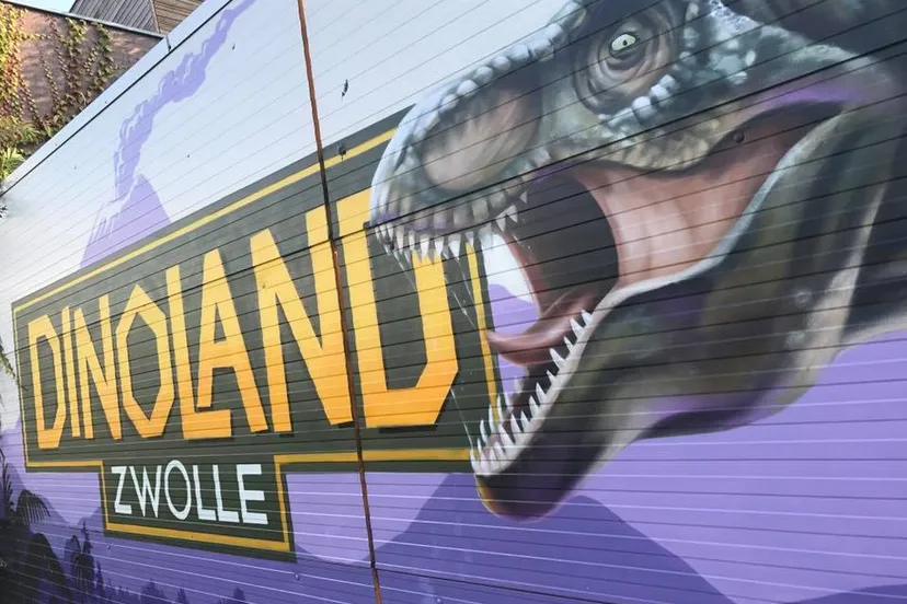 21766796 1819356624758693 6375538691069918519 n