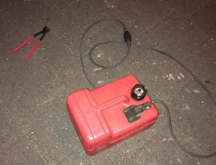 22041983 1724283074547922 4954962592766582830 o