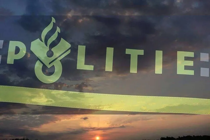 22730139 1733232463652983 8404324108023710257 n