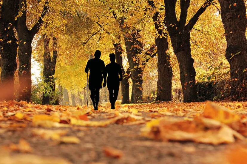 22829328 1465964556806470 6004869202846160540 o