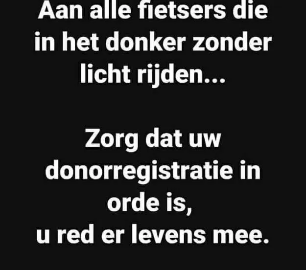 23031466 1606999039356816 4570835526718263469 n