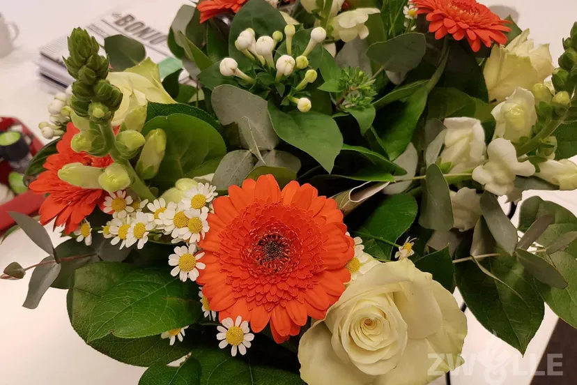 23275333 1735759950066901 3427478705316400006 o