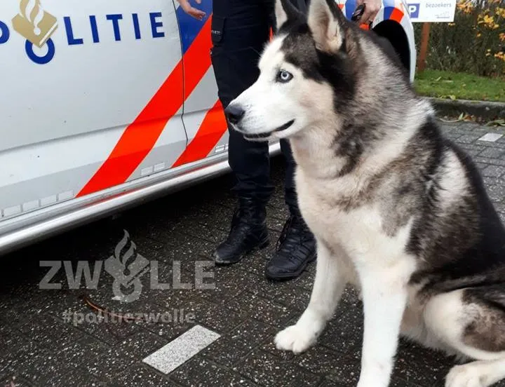 23659407 1741879212788308 5892448583957376190 n