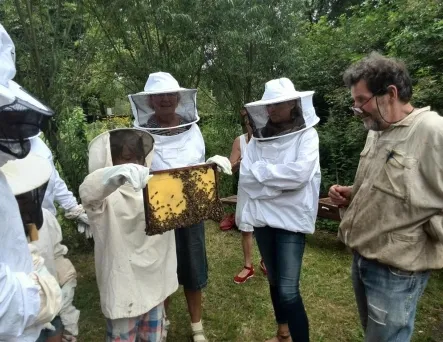 356181 imkers open bijendag