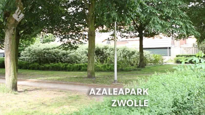 asaleapark zedendelinquenten