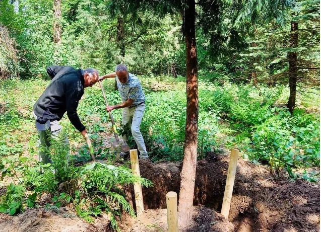 bos zandhove bomenplanten