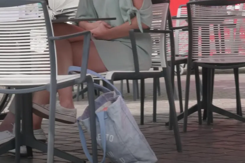 diefstal in zwolle vrije vogels media