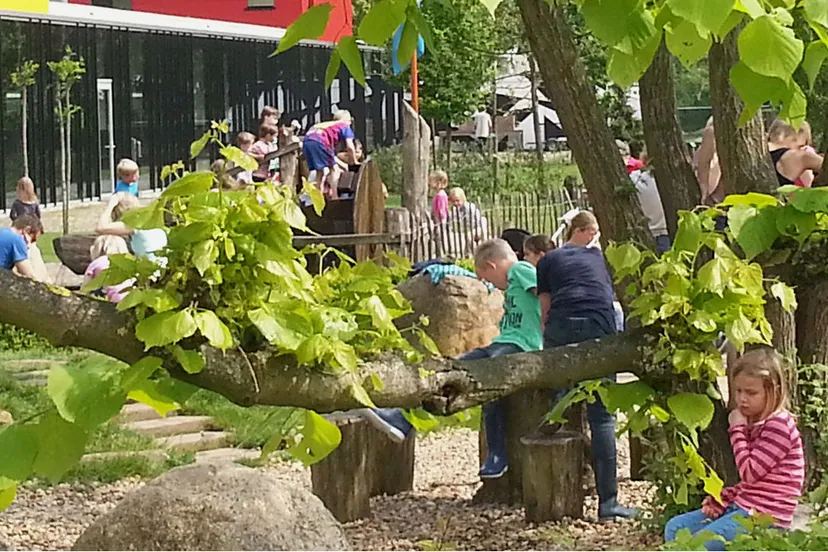 doepark nooterhof zwolle