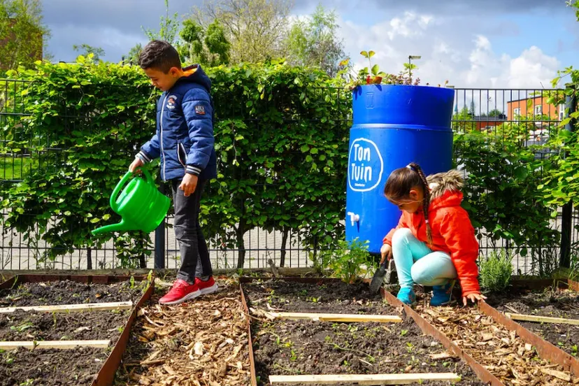 feestje schellerdriehoek