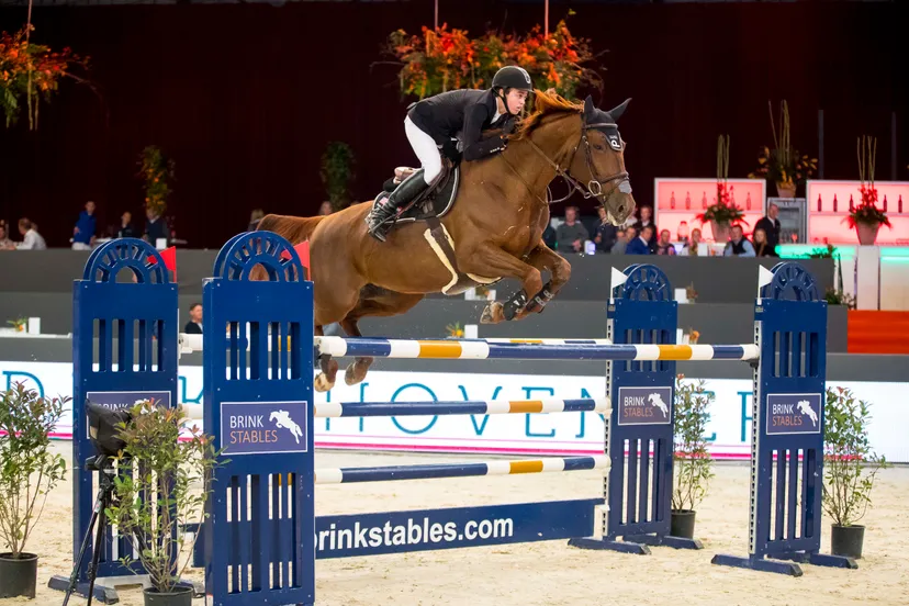 lucas porter diamonte darco zwol18l07226