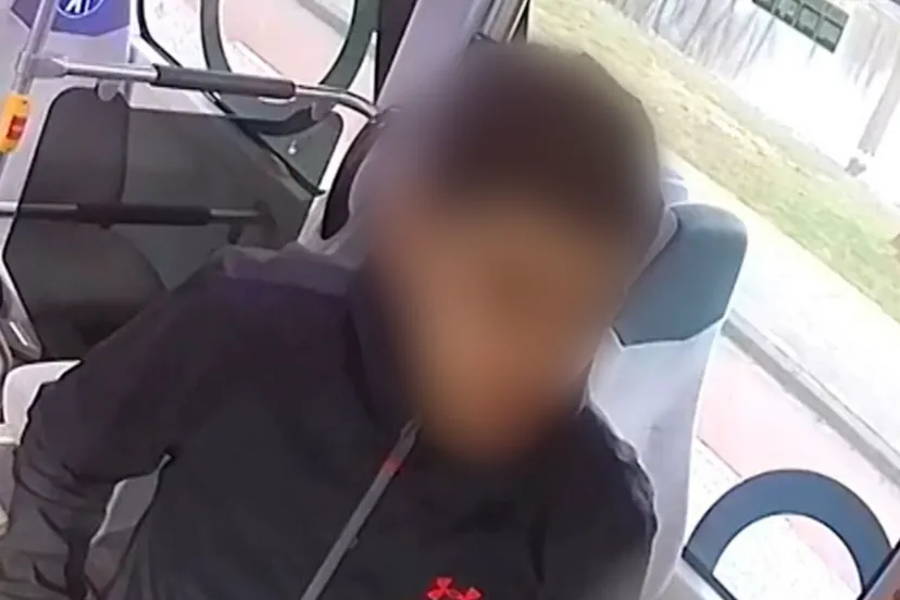 mishandeling buschauffeur