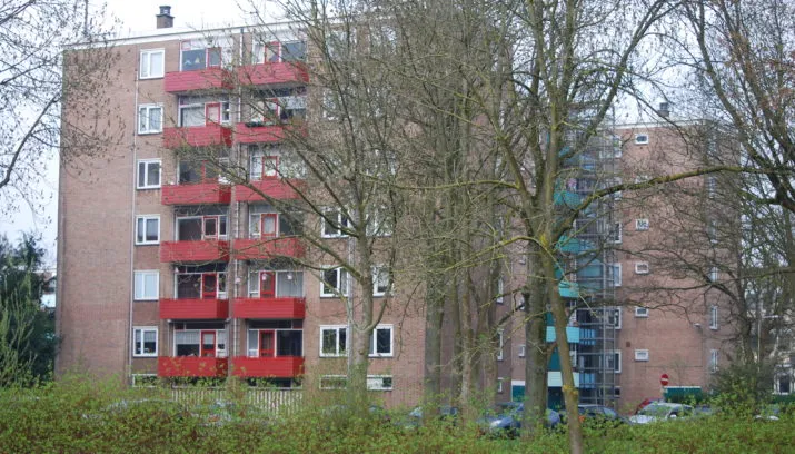 oudbouw weezenlanden rein