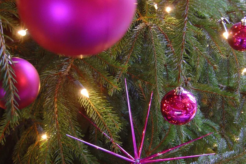 pink christmas 2 1184318