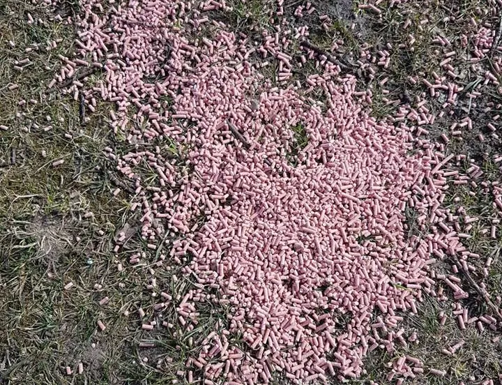 rattengift wezenlandenpark