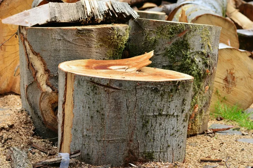 schermafbeelding 2019 02 24 om 111535