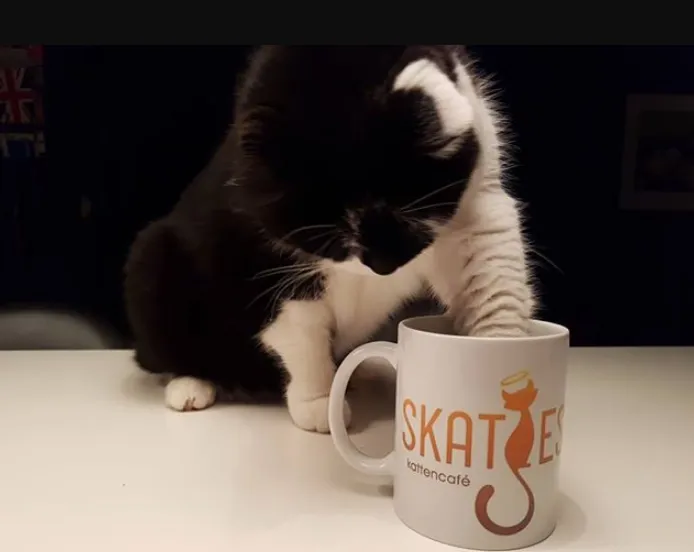 schermafbeelding 2019 03 25 om 214145