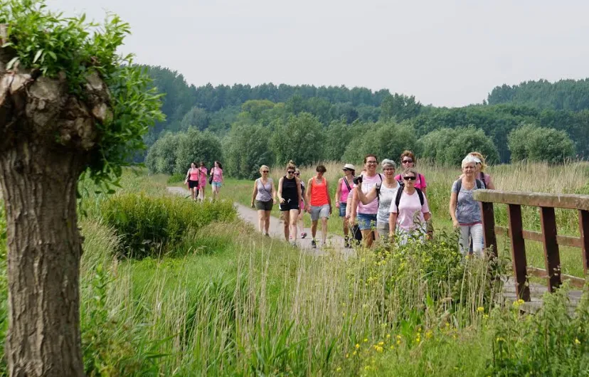 schermafbeelding 2019 03 25 om 220137