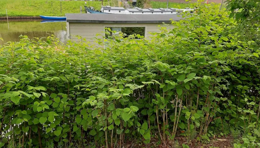 schermafbeelding 2019 05 17 om 110232