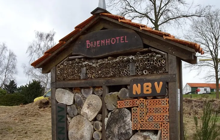 schermafbeelding 2019 06 04 om 081105