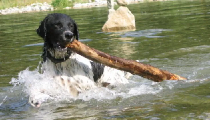 schermafbeelding 2019 06 23 om 125722