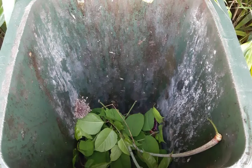 schermafbeelding 2019 06 26 om 081744