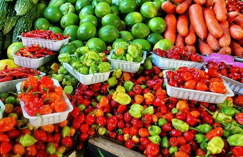 schermafbeelding 2019 08 02 om 085334