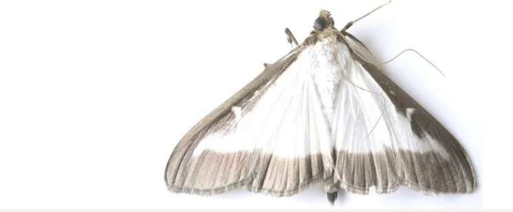 schermafbeelding 2019 08 22 om 091730