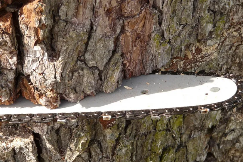 schermafbeelding 2019 10 17 om 194946