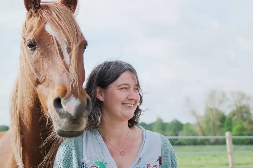 schermafbeelding 2019 10 17 om 203706