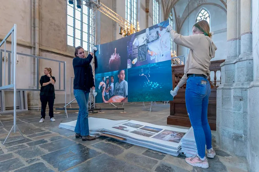 schermafbeelding 2019 12 02 om 082526