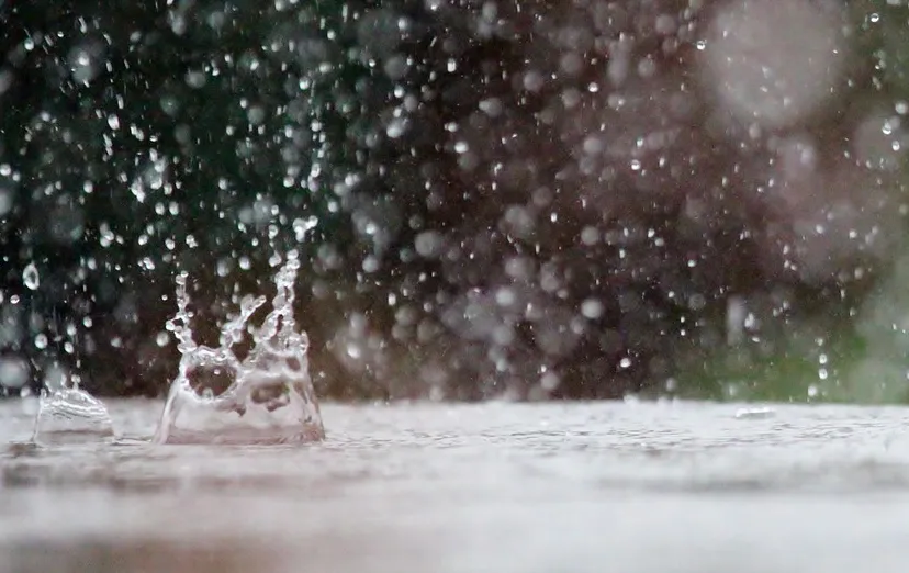 schermafbeelding 2020 02 07 om 080944