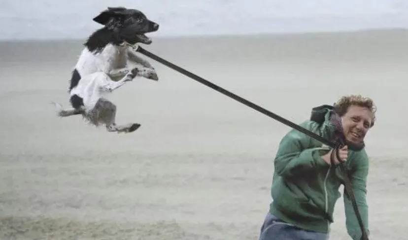 schermafbeelding 2020 02 09 om 145638