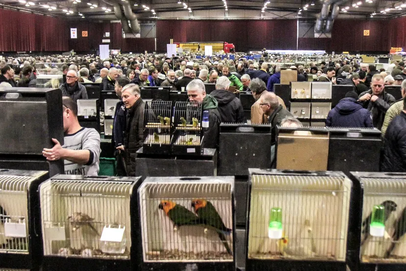 schermafbeelding 2020 02 22 om 094702