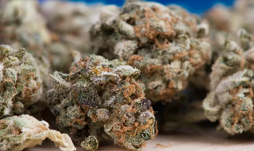 schermafbeelding 2020 02 29 om 084424