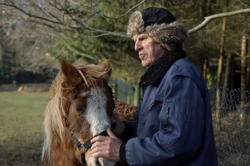 schermafbeelding 2020 03 04 om 082734