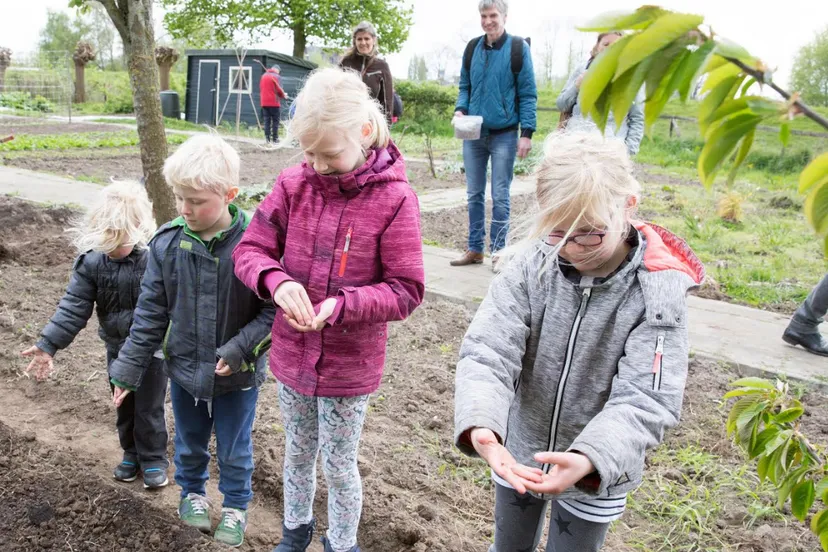 schermafbeelding 2020 04 17 om 083335