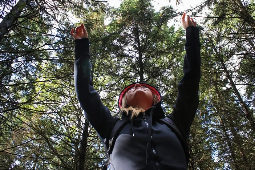 schermafbeelding 2020 04 20 om 125945