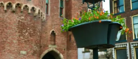 schermafbeelding 2020 05 04 om 092519