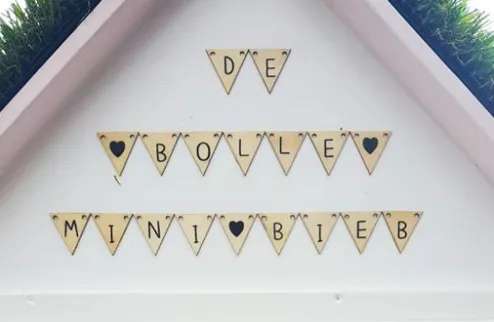 schermafbeelding 2020 05 07 om 093309