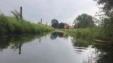 schermafbeelding 2020 05 14 om 091352