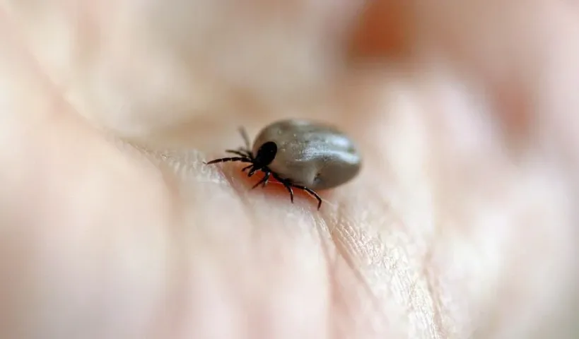 schermafbeelding 2020 06 22 om 104722