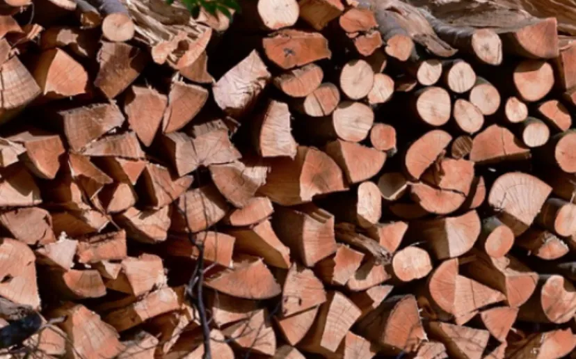 schermafbeelding 2020 08 03 om 092928