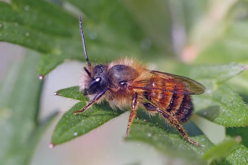 schermafbeelding 2020 10 29 om 213106