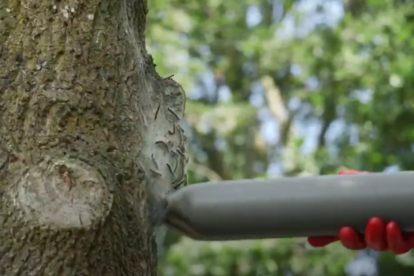 schermafbeelding 2020 12 20 om 091828